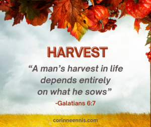 Harvest from the Seeds You Sowed